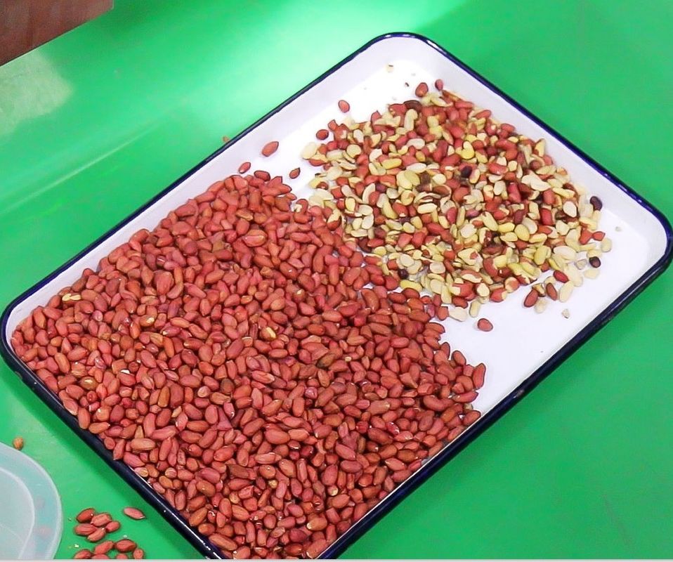 5 Chutes Nuts Color Sorter with Japan Toshiba CCD Sensor and ≥99.99% Accuracy for Peeled Peanut Almond Walnut Raisin