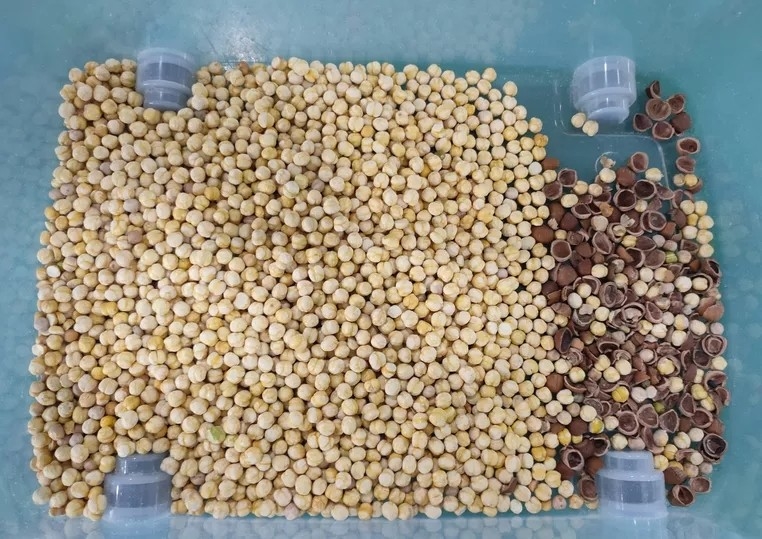 Peeled Peanuts Nuts Color Sorter With CCD LED Automatically
