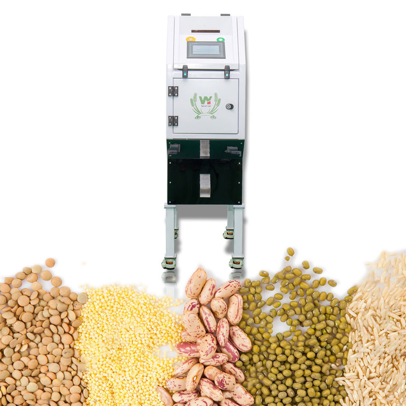 300 - 1000kg/H Dehydrated Vegetable Sorting Machine Used For Farmland