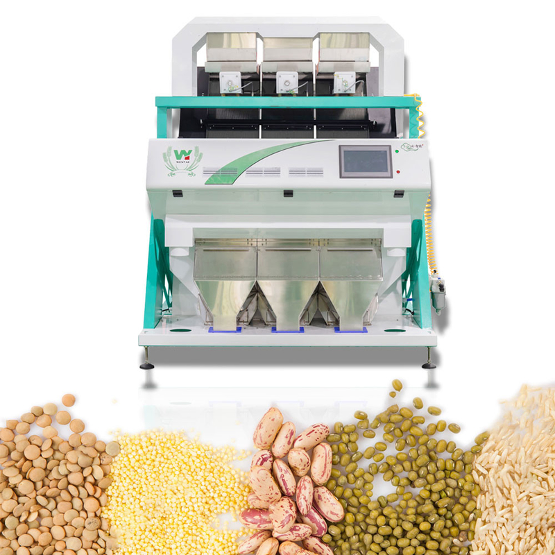 3 Channels Rosehip Color Sorter Machine Customized Color