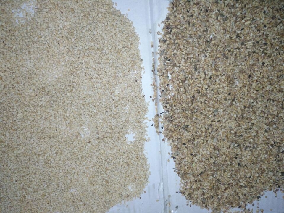 Wheat Paddy Corn Soybean Grain Color Sorter Machine High Precision