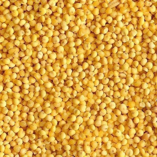 WENYAO 6 Chutes 384 Channels CCD Optical High Capacity Millet Color Sorting Machine