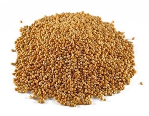 7 Channels Intelligent Automatic Organic Rice Color Sorter 80 Tons Per Day Color Sorting Machine