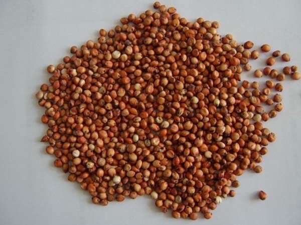 7 Channels Intelligent Automatic Organic Rice Color Sorter 80 Tons Per Day Color Sorting Machine