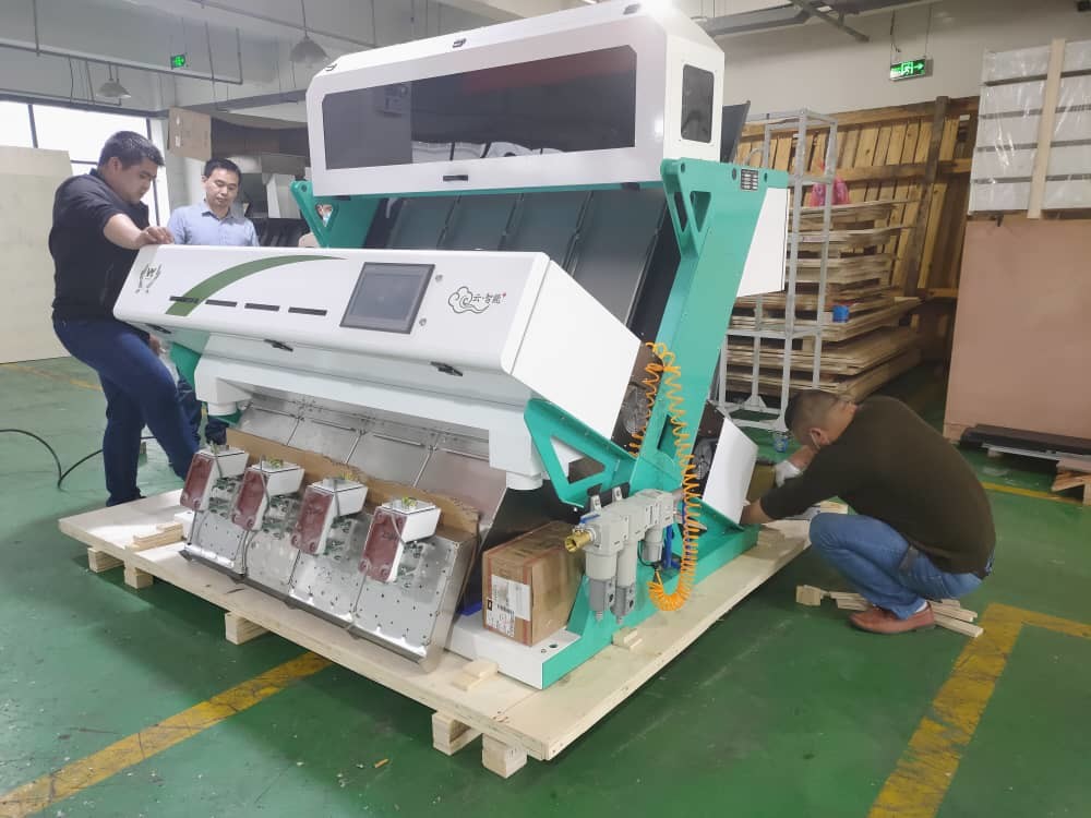 Meclab Sorting Machine Nuts Almond Raisin Color Sorter Mini Color Sorting Machine With CCD Sensor