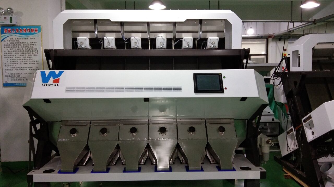 6 Chutes Pumpkin Color Sorting Machines High frequency Solenoid Valve