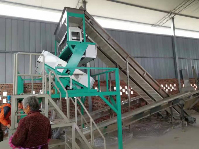 WENYAO 240V Bean Color Sorter , Chickpea Sorting Machine For Beans ...
