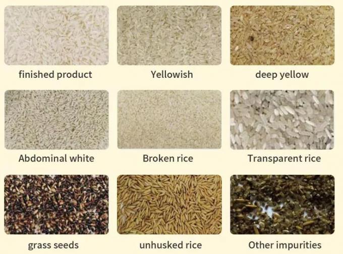 High Accuracy Rice Color Sorting Machine For Rice Grain Wheat Beans