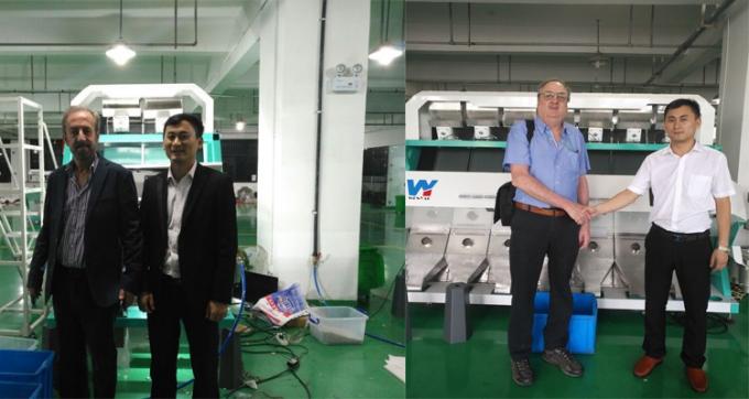 64 Channel Grain Colour Sorting Equipment, Wheat Rice Color Classification Machine 12