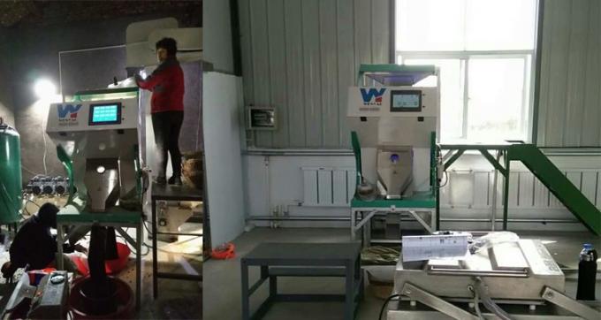 220V / 50Hz Wenyao Color Sorter Machine For Coffee Bean Cherry 11