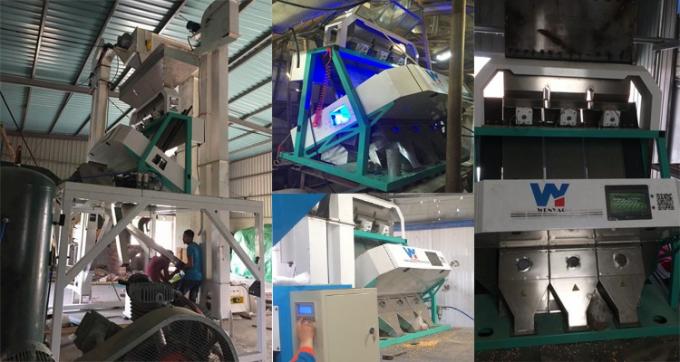 220V / 50Hz Wenyao Color Sorter Machine For Coffee Bean Cherry 12