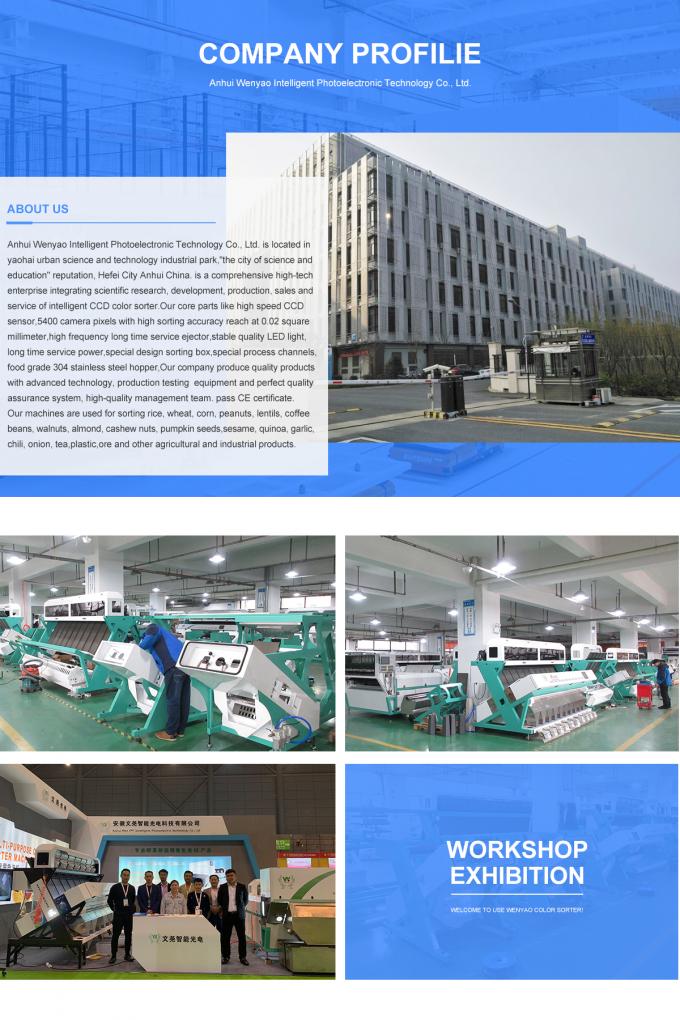 Intelligent Prunes Blueberry Cabbage Kiwicha Fried Onion Vegetable Fruit Color Sorter Machine for Farm Processing 25