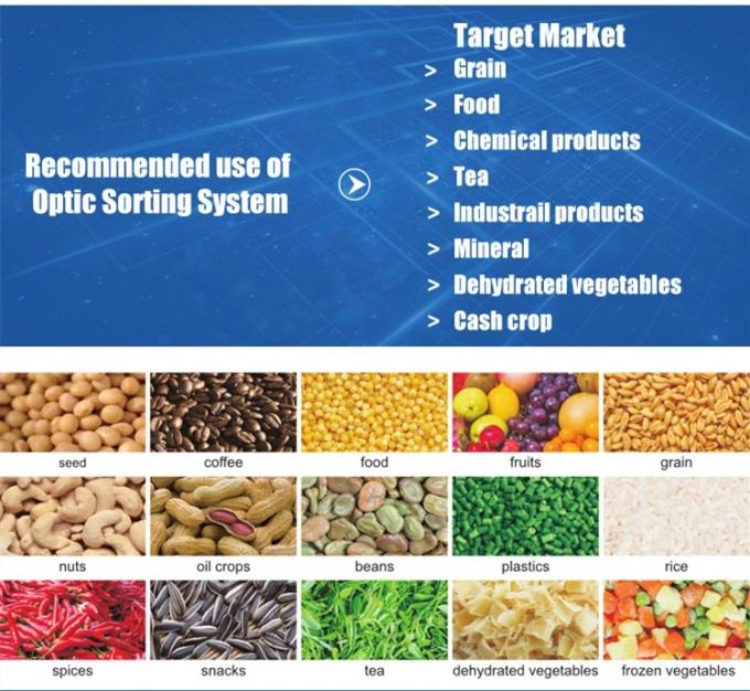 Intelligent Prunes Blueberry Cabbage Kiwicha Fried Onion Vegetable Fruit Color Sorter Machine for Farm Processing 2