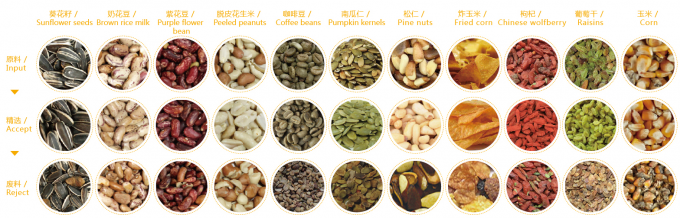 Intelligent Prunes Blueberry Cabbage Kiwicha Fried Onion Vegetable Fruit Color Sorter Machine for Farm Processing 4