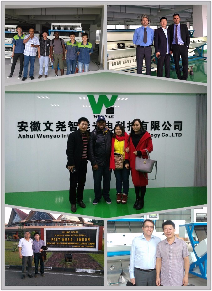 Wenyao Optical Metal Color Sorting Machine For Copper Aluminium Metal Color Sorter 16