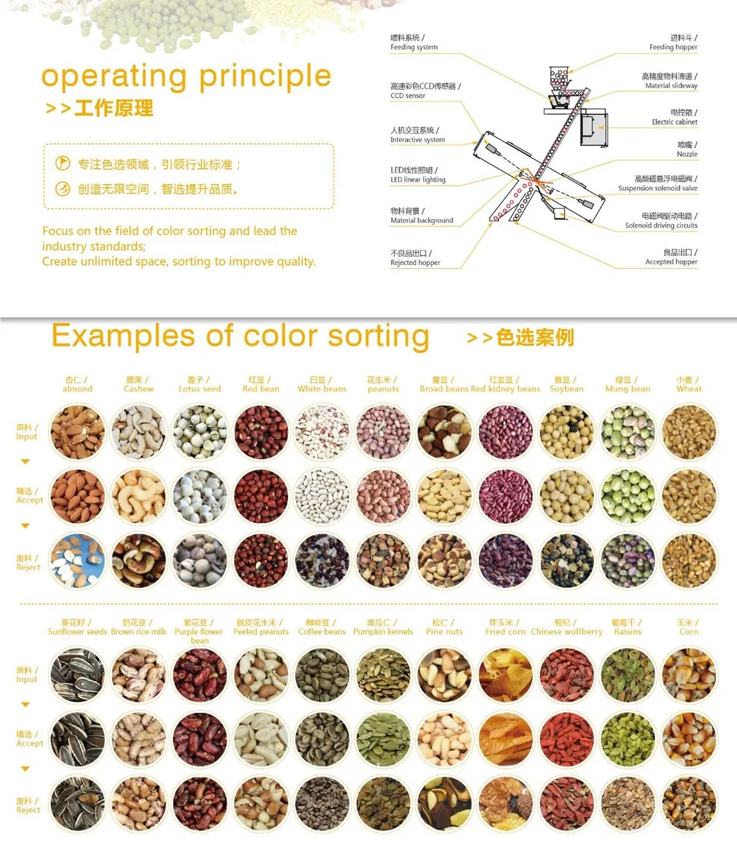 China Cost-Effective Food Processing Machinery Grian Color Sorter Rice Rye Niblet Color Sorting Machine with CE