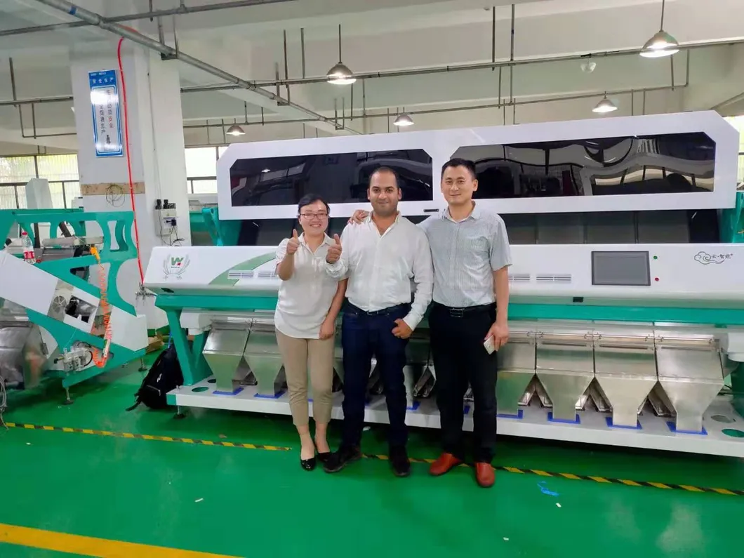 China Cost-Effective Food Processing Machinery Grian Color Sorter Rice Rye Niblet Color Sorting Machine with CE