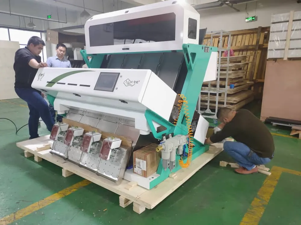 China Cost-Effective Food Processing Machinery Grian Color Sorter Rice Rye Niblet Color Sorting Machine with CE