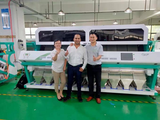 Wenyao Full Automatic 3 Chute Soya Broad Kidney Bean Color Sorter Machine 15