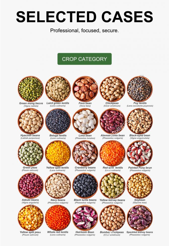 High Speed Self-Cleaning For Grain Rice Beans Sorting Operations Color Sorting Machine 8