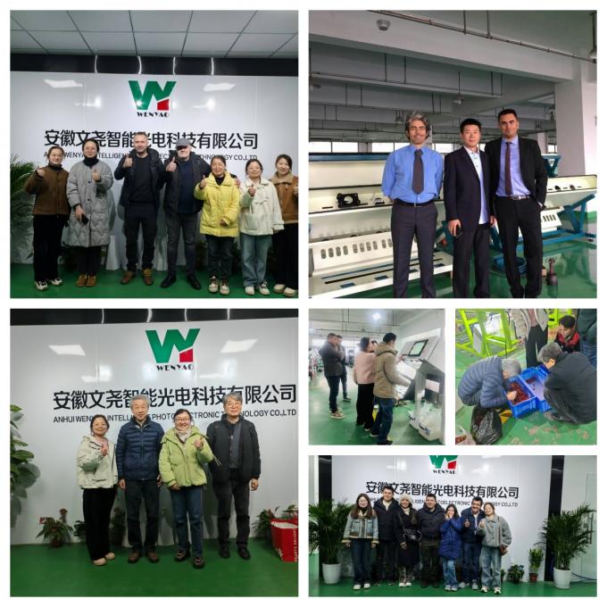 AI Learning Intelligent Belt Style Peanut Hazelnut Pistachio Nuts Color Sorter Machine 21