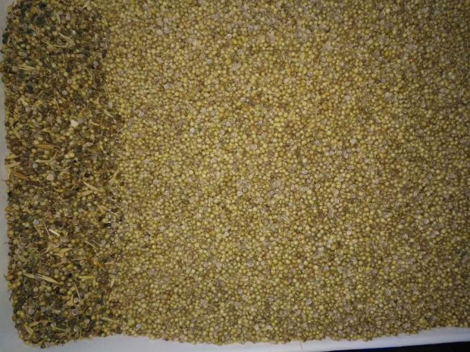 Small Optical Seeds Color Sorter With Good Performance Seeds Cleaning Machine 3