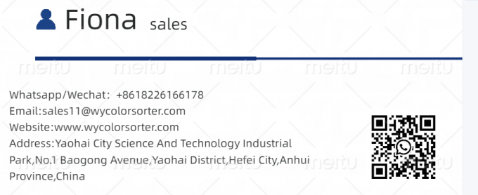 Salt Stainless Steel 316L Optical Sorting Machine CCD Industry Color Sorter Salt Cleaning Separator High Precision China 26