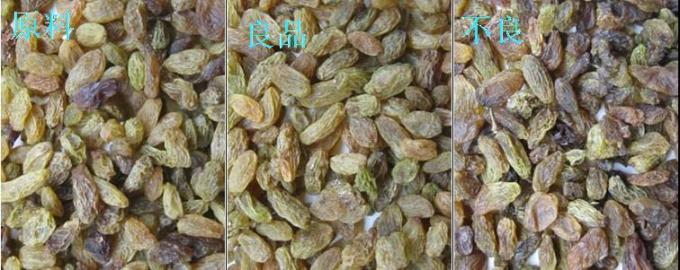 320 Channels Optical CCD Color Sorter Raisin Color Sorting Machine with CE Certification 4