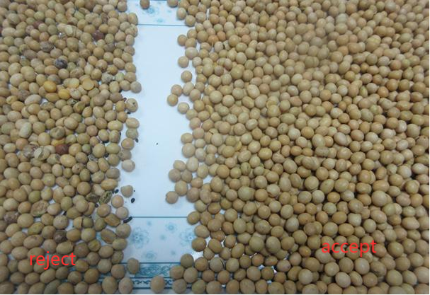 Intelligent Color Separator CCD Camera Grain Rice Soybean Color Sorter for Agriculture 4