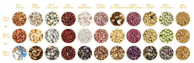 2025 Hot Sale Factory Price CCD Nut Color Sorter Macadamia Nut Separation Equipment with CE 2