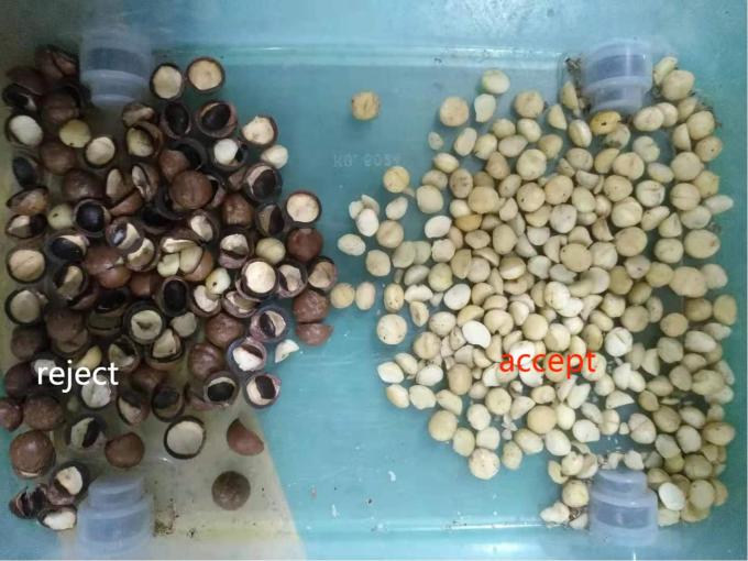 2025 Hot Sale Factory Price CCD Nut Color Sorter Macadamia Nut Separation Equipment with CE 3