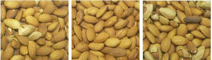 AI Learning Intelligent Belt Style Peanut Hazelnut Pistachio Nuts Color Sorter Machine 13