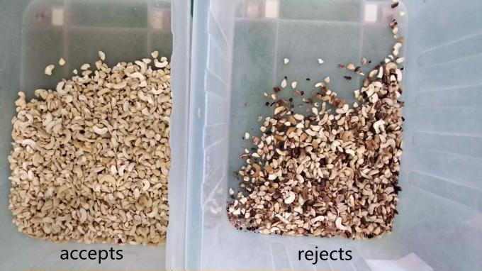 Intelligent 6 Chute Cashew Nut Color Sorting Machine with Toshiba CCD Sensor and RGB Camera 6