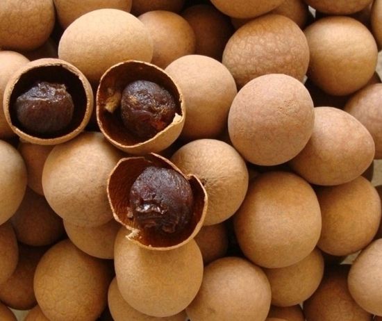 Wenyao WYCS1-64 1 Chute Easy Operate Optical Sorter for Dhydrated Vegetables Dried Onion Flakes Potatoes Flakes Sorting Machine 10