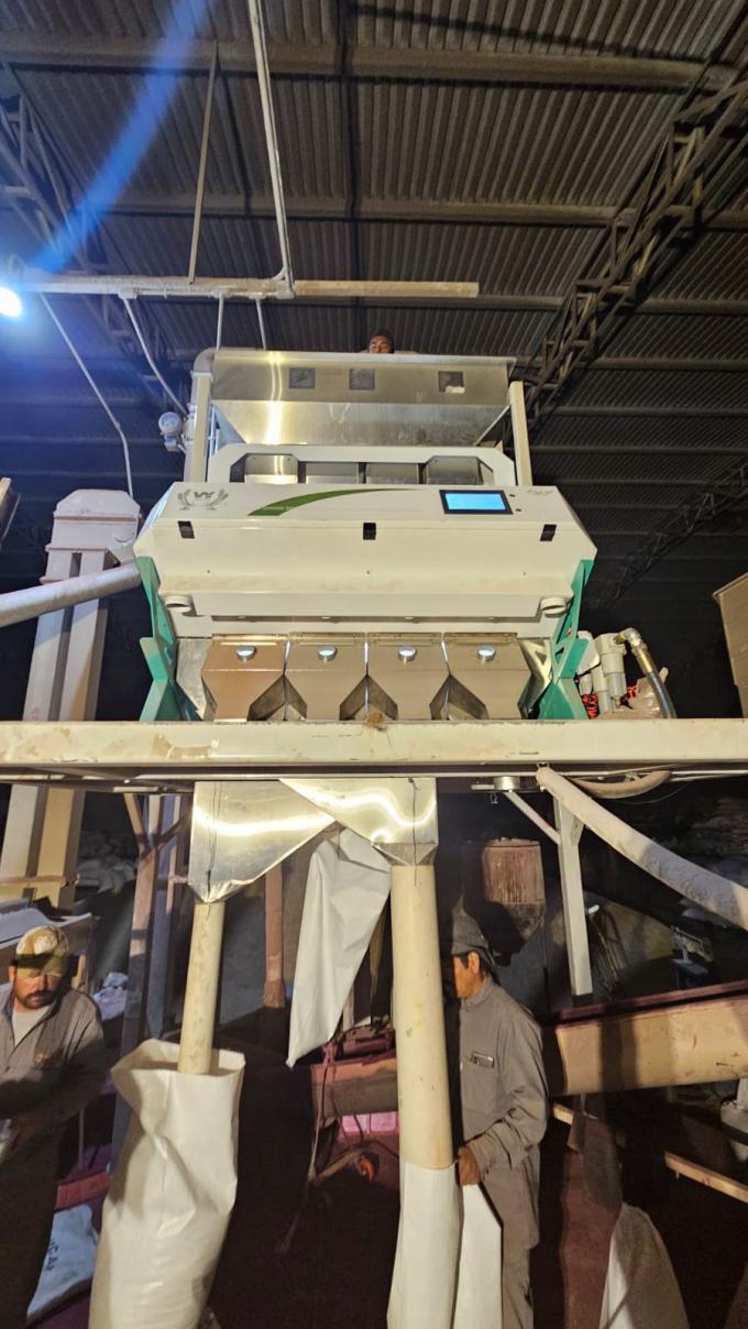 Wenyao High Capacity Maize Wheat Horse Bean Broad Bean Color Picker Colour Sorter Machine 8