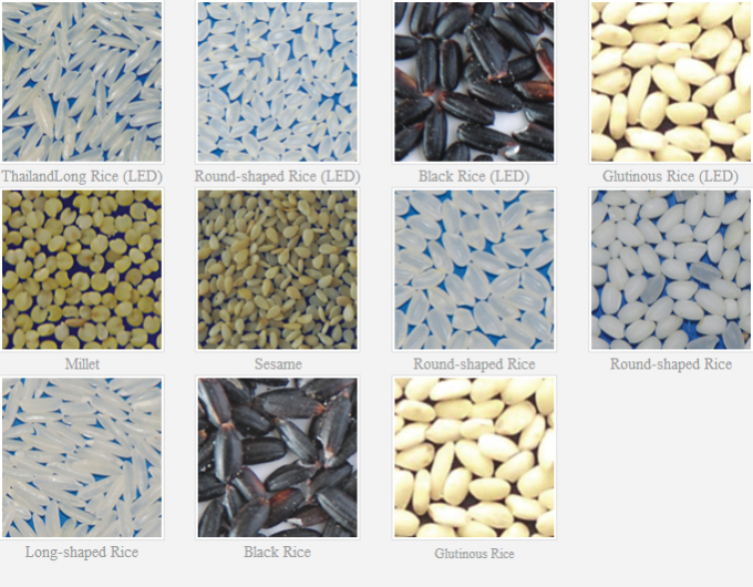 Wenyao Intelligent Factory Direct Sale Kidney Bean Peanut Chickpeas Color Sorting Machine 9