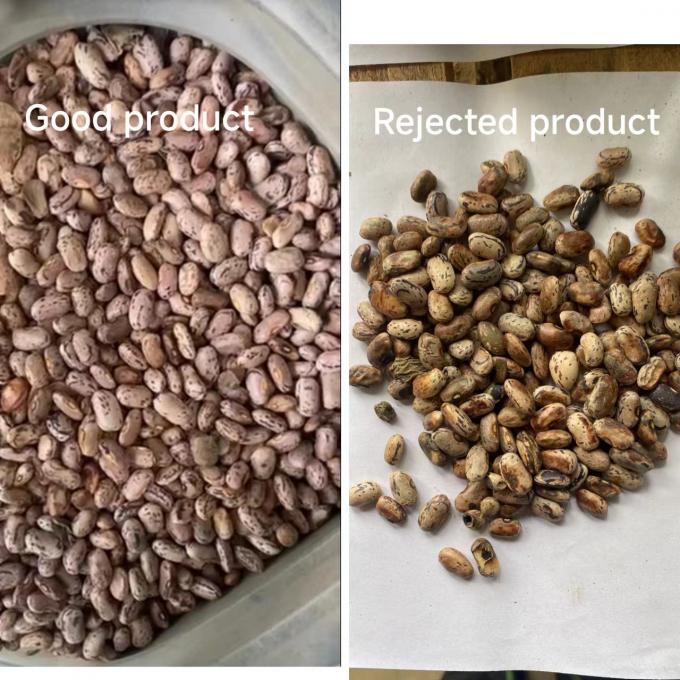 Wenyao Intelligent Factory Direct Sale Kidney Bean Peanut Chickpeas Color Sorting Machine 10