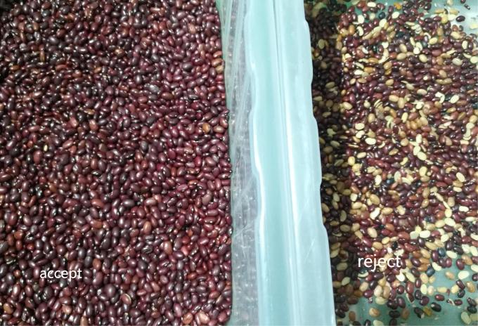 High Accuracy Intelligent Kidney Bean Red Bean Optical Color Sorter Machine 10