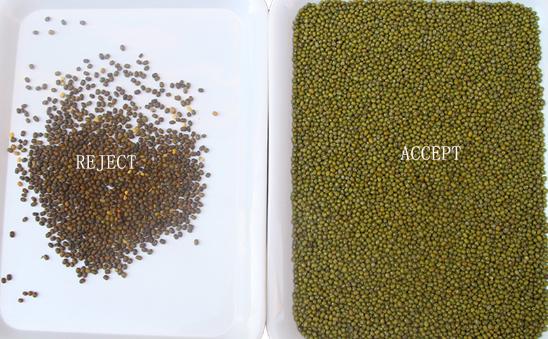 Wenyao Intelligent Factory Direct Sale Kidney Bean Peanut Chickpeas Color Sorting Machine 12