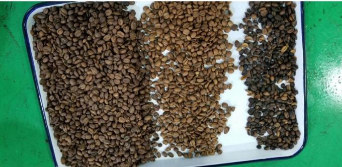 Wenyao Intelligent Factory Direct Sale Kidney Bean Peanut Chickpeas Color Sorting Machine 13