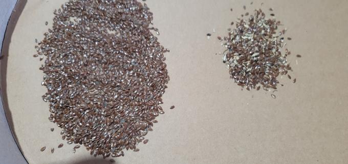 Wenyao 2025 Hot Selling Seeds Sorting Full Automatic Chia Seeds Flax Seeds Color Sorter Machine 13