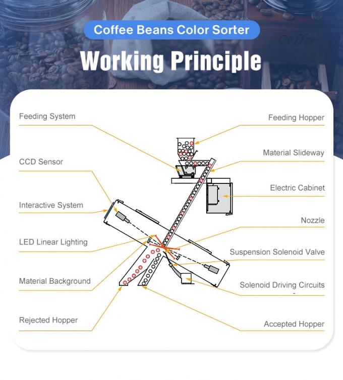 Weanyao Multifunction Customizable CCD Camera Green and Roasted Coffee Bean Color Sorting Machine 3