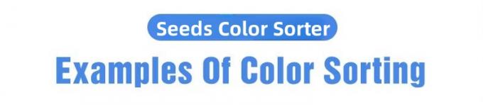 Wenyao 5 Chute Chinese Factory Optical Sorter Cardamom Bean Color Sorter Machine 1