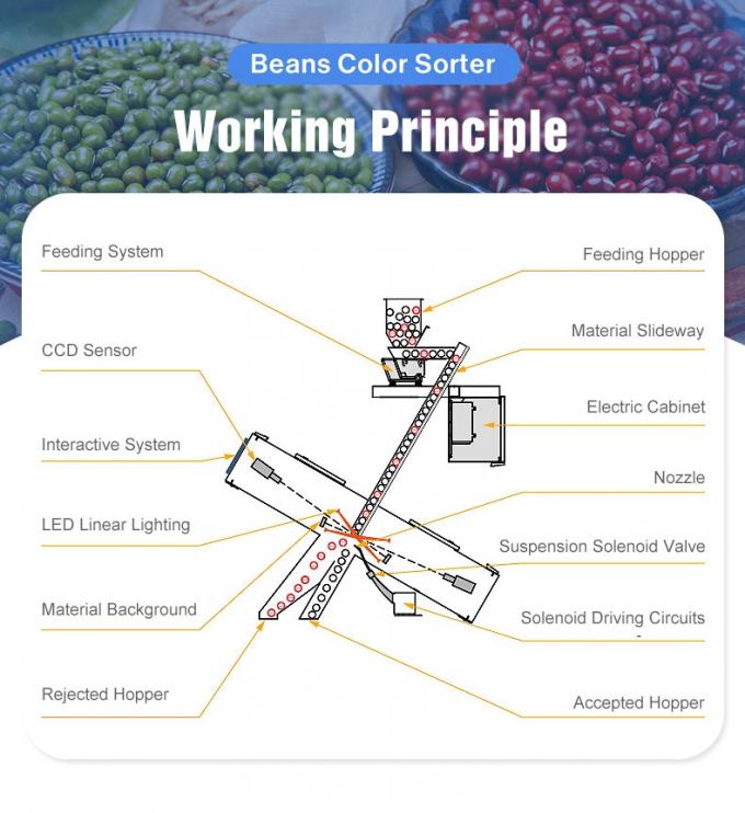 Wenyao Chinese Factory Price Fully Automatic Red Beans Kidney Bean Color Sorter Machine 3