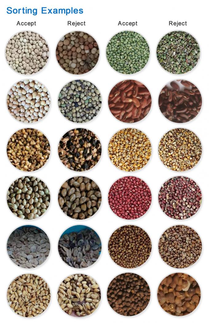 Optical Colour Sorter Corn Maize Rye Quinoa Color Sorter Sorting Machine Online Color Sorter Manufacturer 1