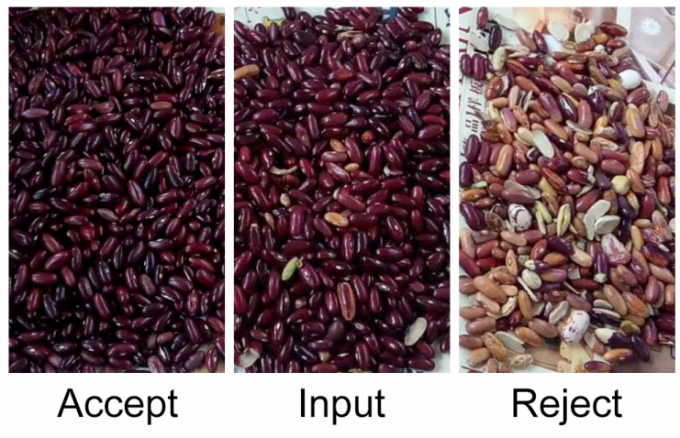 High Accuracy Intelligent Kidney Bean Red Bean Optical Color Sorter Machine 9