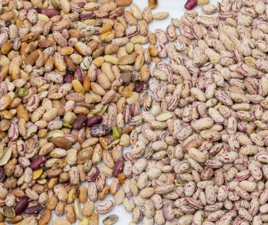 High Accuracy Intelligent Kidney Bean Red Bean Optical Color Sorter Machine 11