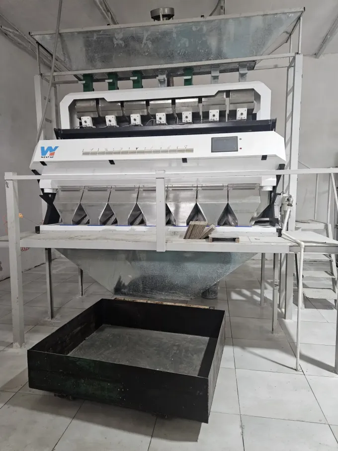 Wenyao Automatic And Efficient Plastic Flakes And Plastic Granules PET PVC Color Sorting Machine 5