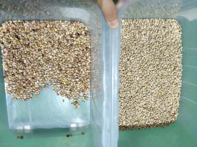 Wenyao Optical High Performance Sorting Machine Kidney Bean Brazil Bean Color Sorter Machine 4