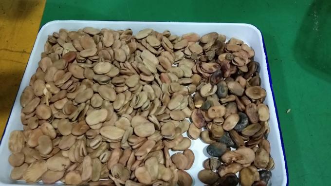 Wenyao Optical High Performance Sorting Machine Kidney Bean Brazil Bean Color Sorter Machine 5